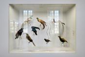 museum de histoire naturelle troyes 8-2025 2768